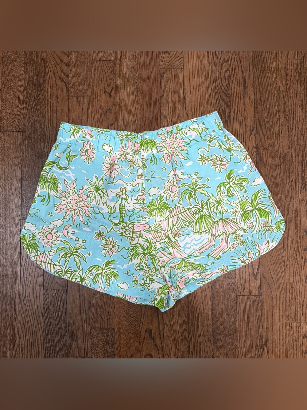 Lilly Pulitzer Elodey Linen Short Fresh Water Blue Sunbathers Bliss SZ Large NWT
